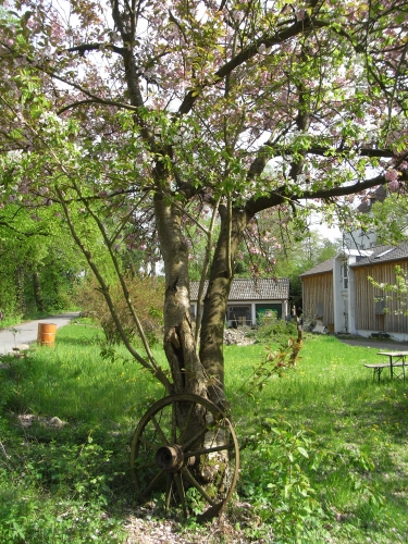 Frühling vor der Musikschule